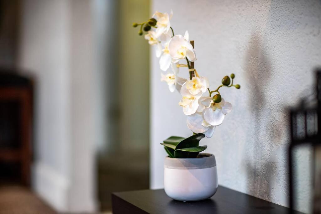 Pet Friendly Millcreek Home Close To Downtown/Mtns ซอลต์เลคซิตี้ ภายนอก รูปภาพ